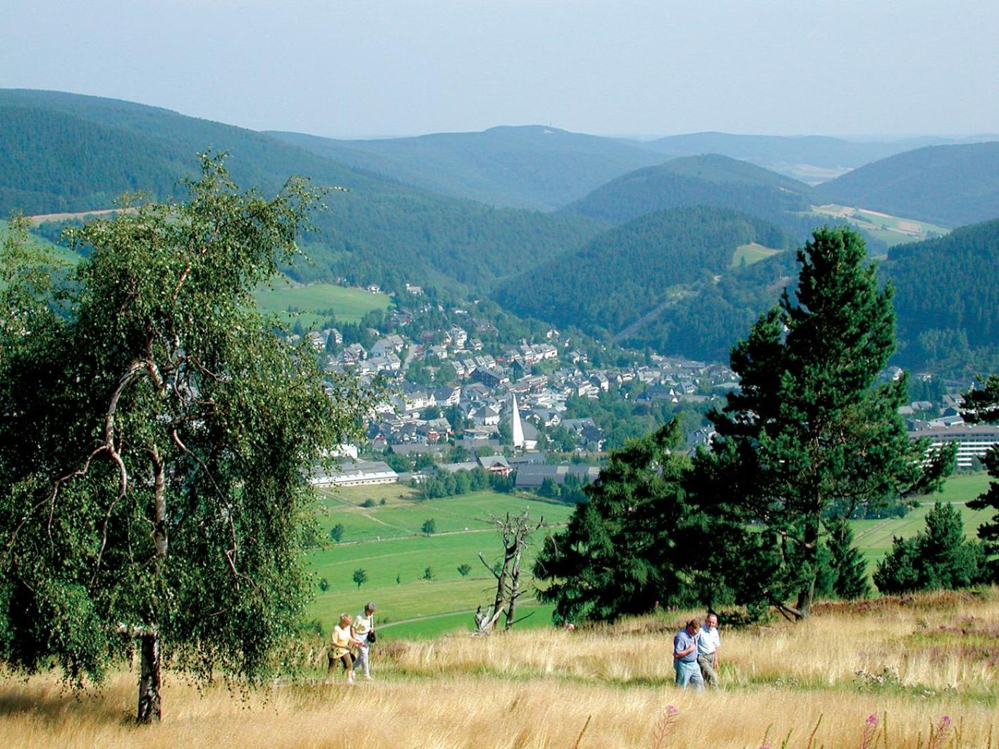 Komfort-Fewo Blickfang Willingen*** วิลลิงเงิน ภายนอก รูปภาพ